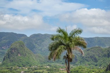 Yaz aylarında Karayip manzara