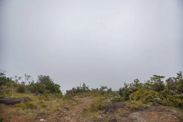 加勒比海风景在夏天 — 图库照片