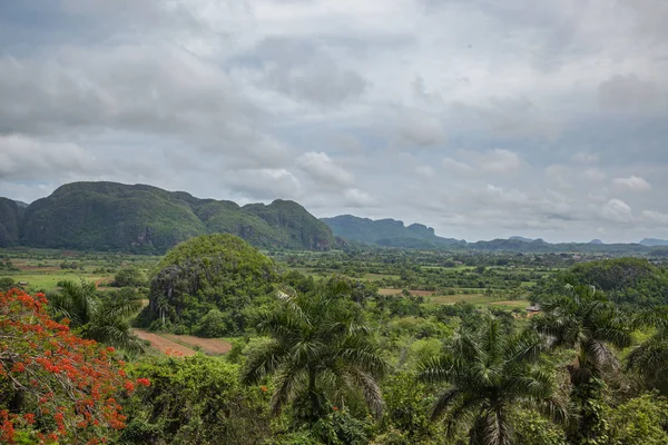 Yaz aylarında Karayip manzara