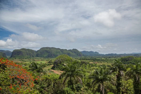 Yaz aylarında Karayip manzara