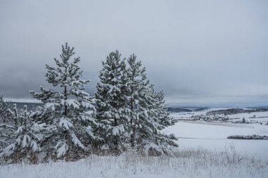 Sonbaharda güzel bir manzara