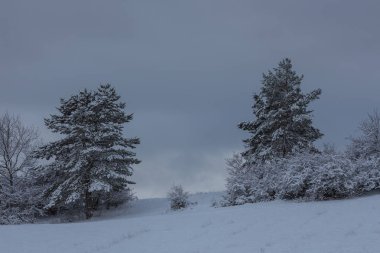 Sonbaharda güzel bir manzara