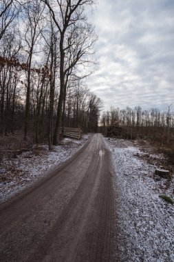 Sonbaharda güzel bir manzara