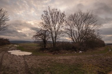 Sonbaharda güzel bir manzara