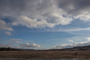 Sonbaharda güzel bir manzara