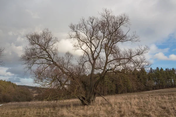 Piękny Krajobraz Jesienią — Zdjęcie stockowe