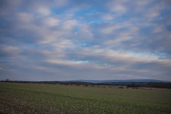 Landschaft im Frühling — Stockfoto