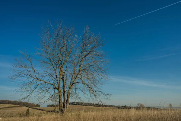 Landscape in spring — Stock Photo, Image