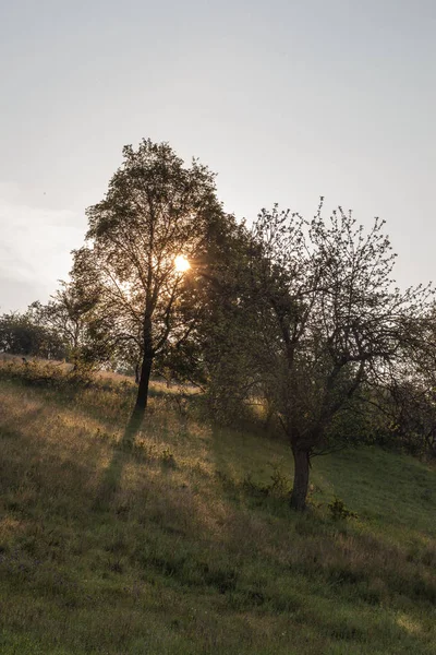 Landscape in spring — Stock Photo, Image