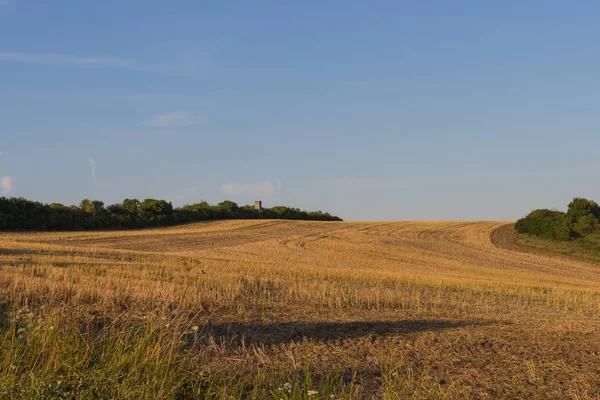 Paisagem na primavera — Fotografia de Stock