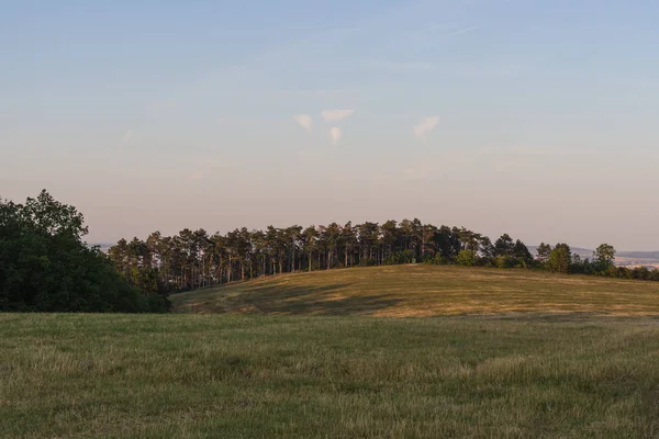 Paisagem na primavera — Fotografia de Stock