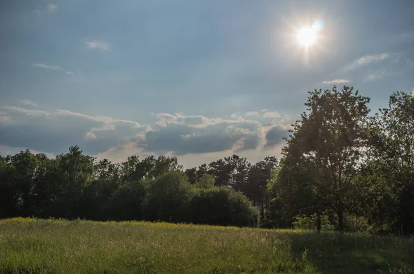 Paisaje en primavera — Foto de Stock