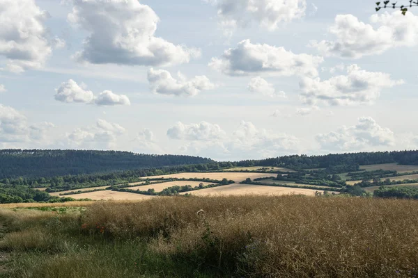 Landskap under våren — Stockfoto