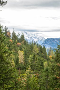 Sonbaharda Bavyera Alpleri