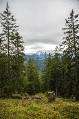 Sonbaharda Bavyera Alpleri