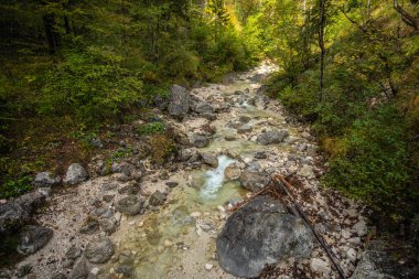 Sonbaharda Bavyera Alpleri