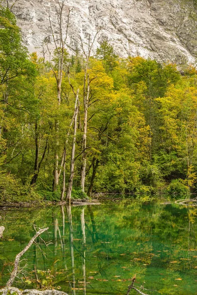 Alpy Bawarskie Jesienią — Zdjęcie stockowe