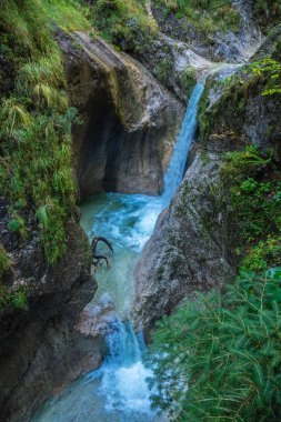 Sonbaharda Bavyera Alpleri