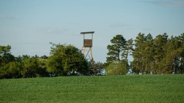 Yaz mevsiminde manzara