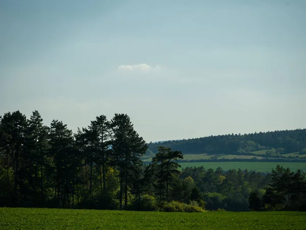 Krajina Letní Sezóně — Stock fotografie