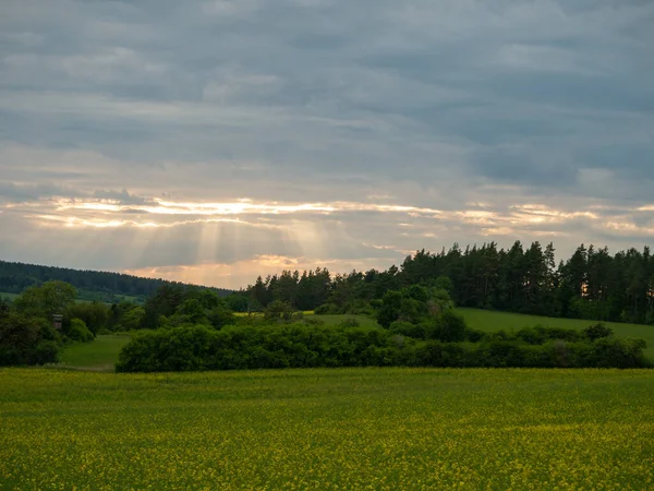 Landschap Het Zomerseizoen — Stockfoto