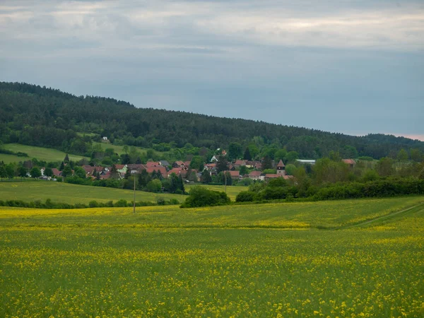 Landschap Het Zomerseizoen — Stockfoto