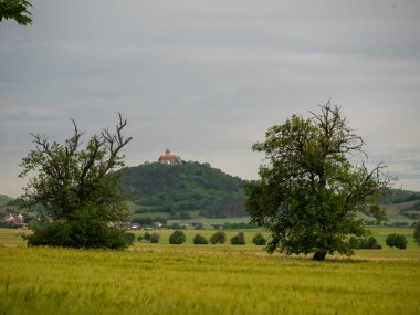 Türünün tek örneği.