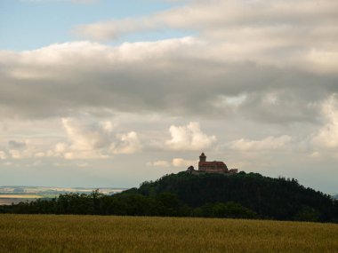 Türünün tek örneği.