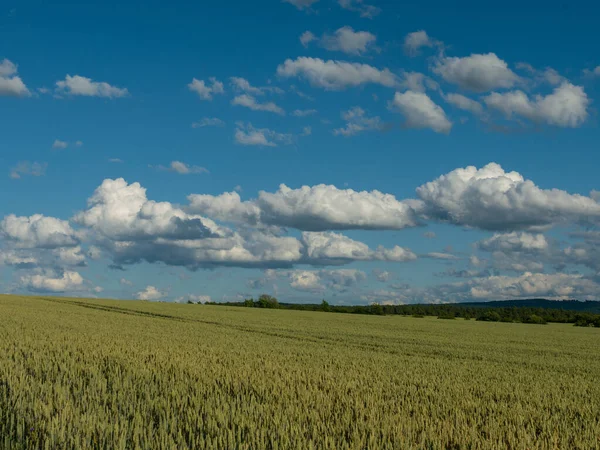 Krajina Letní Sezóně — Stock fotografie