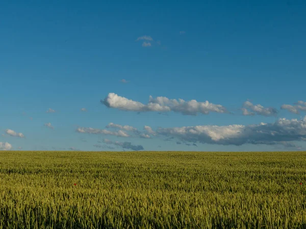 Paisaje Temporada Verano —  Fotos de Stock