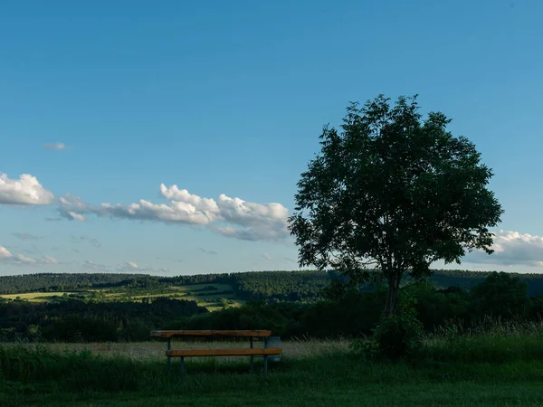 夏の風景 — ストック写真