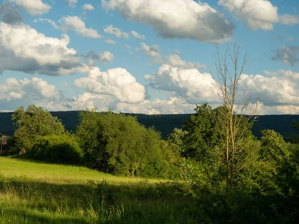 Paisaje Temporada Verano —  Fotos de Stock