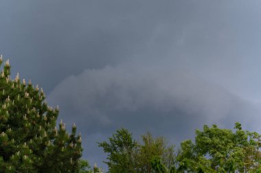 Yaz mevsiminde manzara