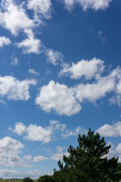 Paisaje Temporada Verano — Foto de Stock