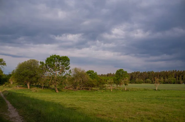 Paisaje Temporada Verano — Foto de Stock