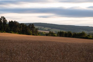 Yaz mevsiminde manzara