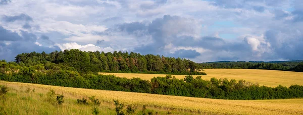 Landschap Het Zomerseizoen — Stockfoto