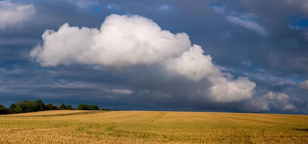 Landskap Sommarsäsongen — Stockfoto