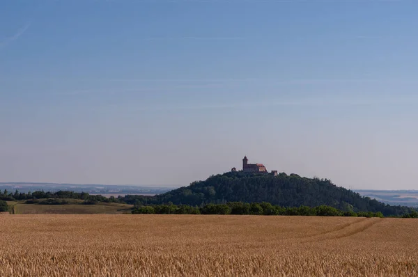 Einer Von Dreien — Stockfoto