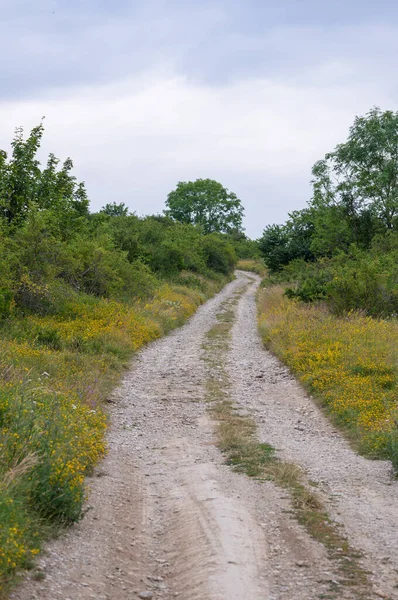 Paysage Saison Estivale — Photo