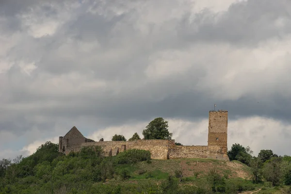 Jediná Tří Tohoto Druhu — Stock fotografie