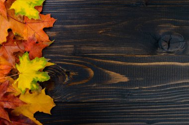 sonbahar yaprakları arka plan