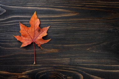 sonbahar yaprakları arka plan