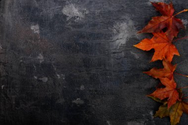 sonbahar yaprakları arka plan