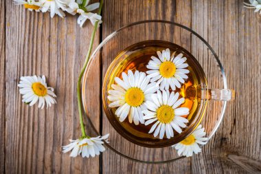 Çiçek papatya (papatya) ve rustik arka plan üzerinde papatya çayı fincan