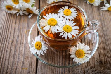 Çiçek papatya (papatya) ve rustik arka plan üzerinde papatya çayı fincan