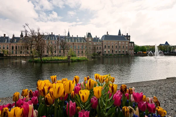 Binnenhof Palace Kamerlid Den Haag Den Haag Nederland — Stockfoto