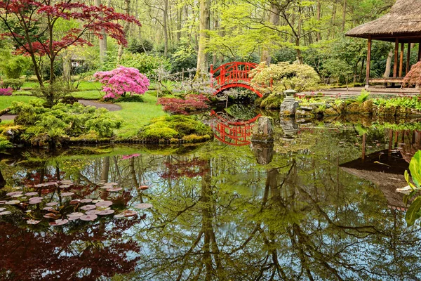 Beautiful Japanese Garden Red Bridge Spring — Stock Photo, Image
