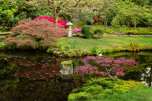 Hermoso Jardín Japonés Primavera Den Haag Holanda —  Fotos de Stock