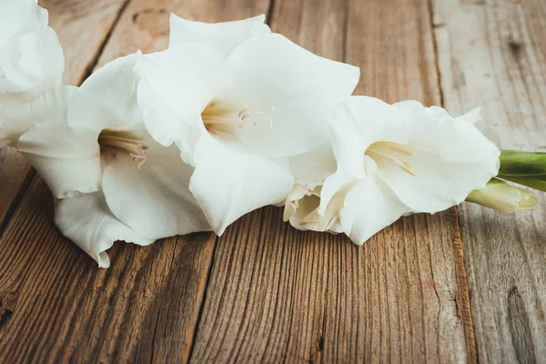 Белый Гладиолус Цветы Деревянном Фоне Пространством Текста — стоковое фото